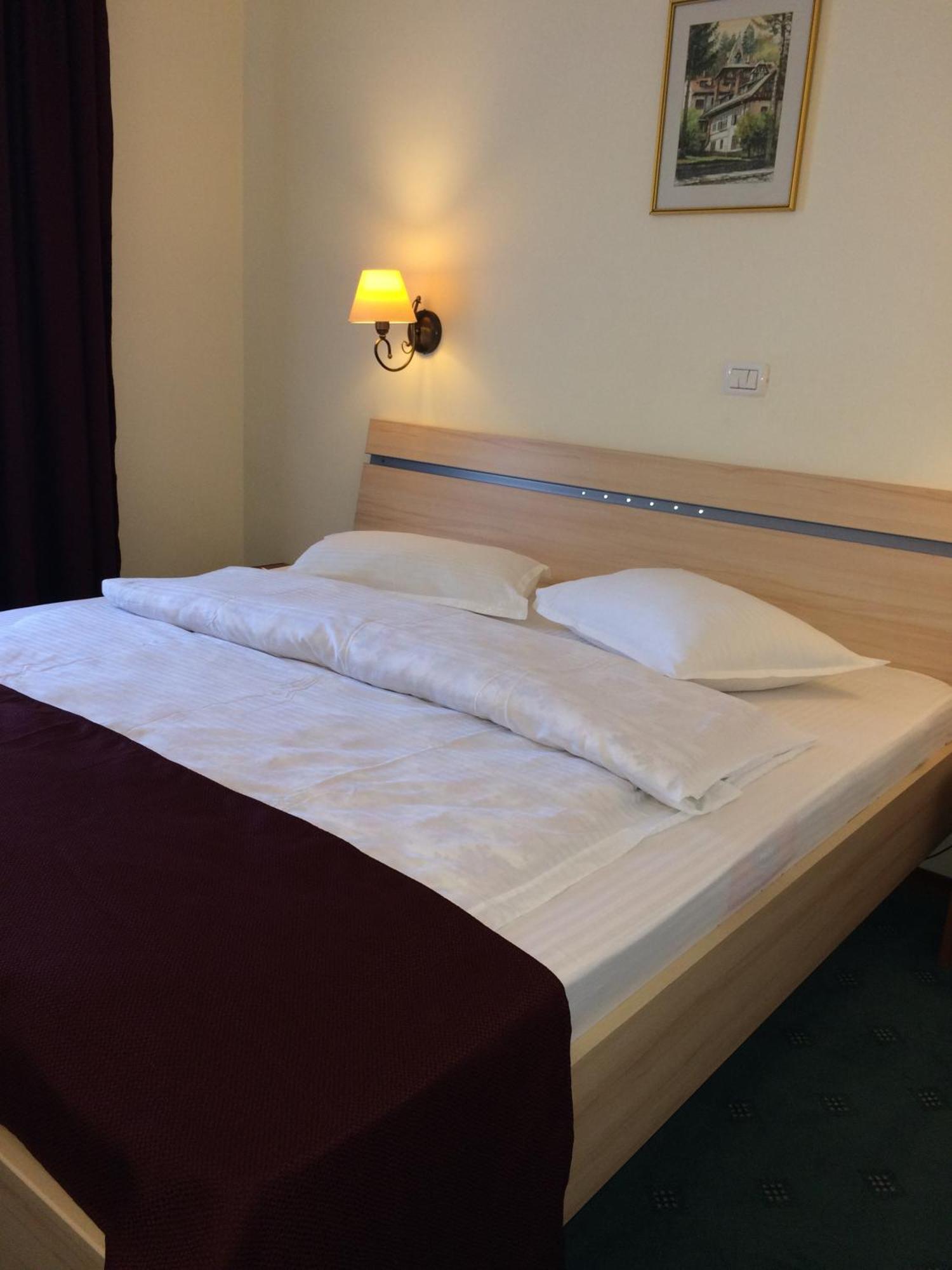 Hotel Bucegi Portile Regatului Paraul Rece Zimmer foto